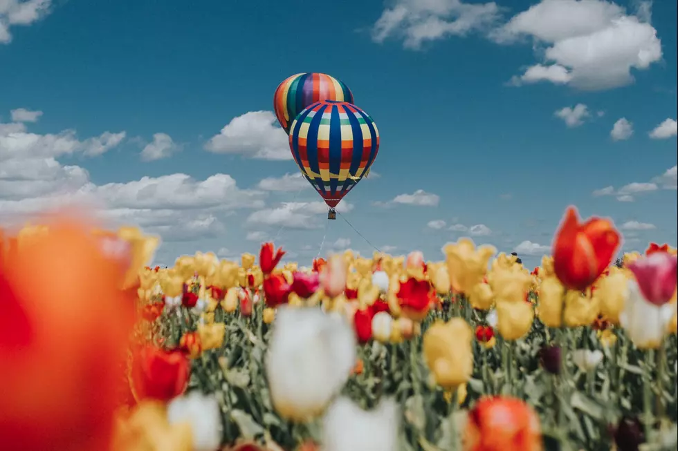 Oregon’s Incredibly Colorful Tulip Festival Is Worth the Drive From Boise