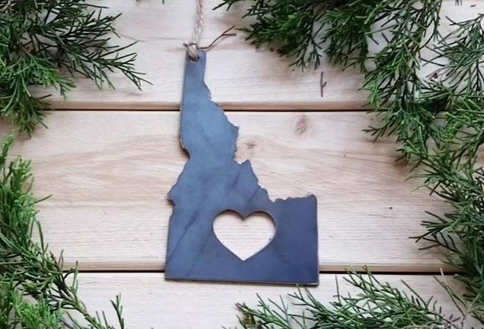 The 10 Ornaments You’ll Find on Every Boise Christmas Tree