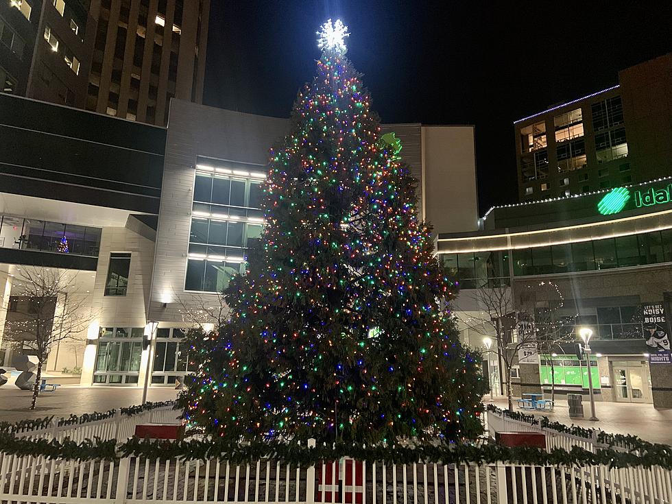 When To Take Your Christmas Tree Down According to Boise Hotels