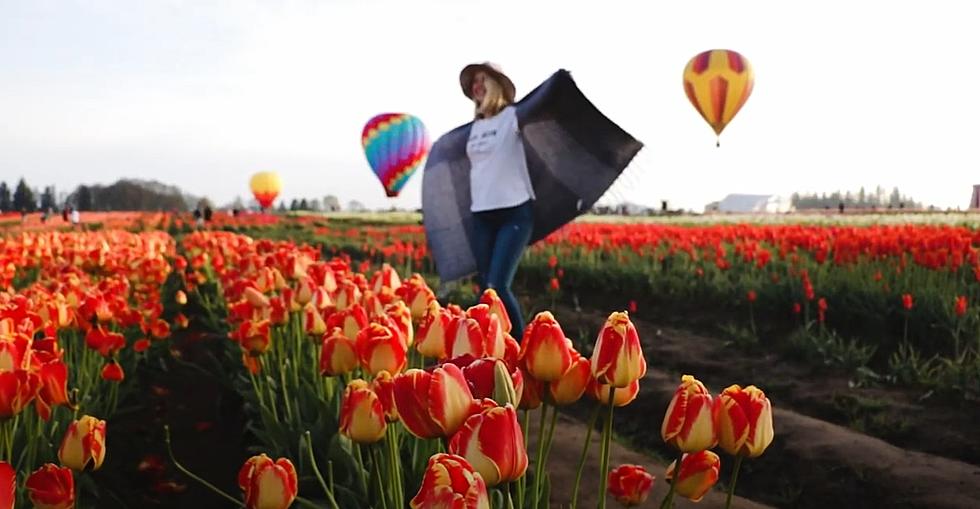 This Incredibly Colorful Tulip Festival Is Worth the Drive From Boise