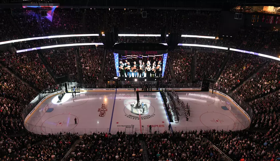 It’s Official! NHL Hockey is Really Coming to Boise This Fall