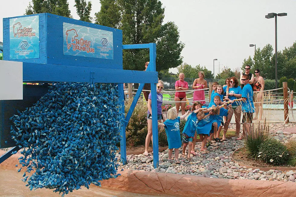 Win Your Way Into the Great Dolphin Dunk at Roaring Springs!