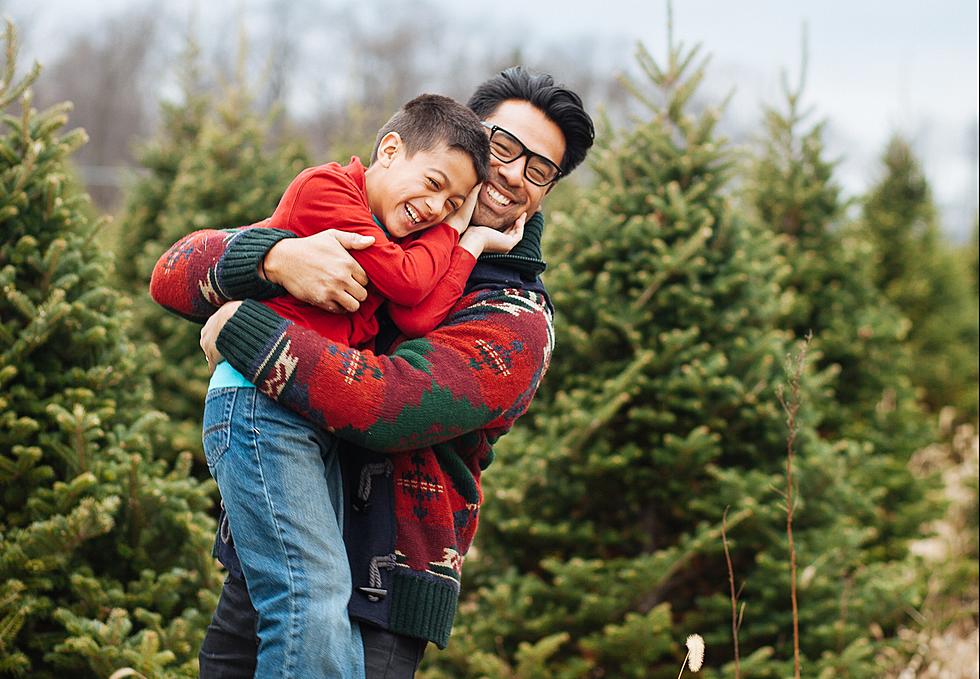 Have a Fourth Grader? You Get a FREE Christmas Tree in Idaho This Year!