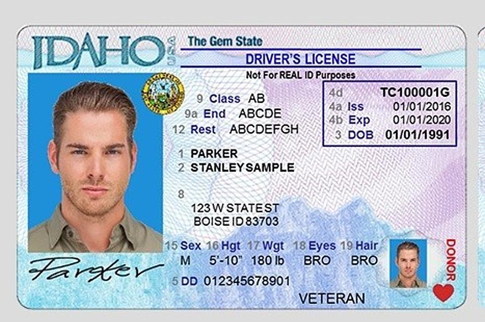 Are You Smart Enough to Pass the Idaho Driver’s Test If You Took It Today?