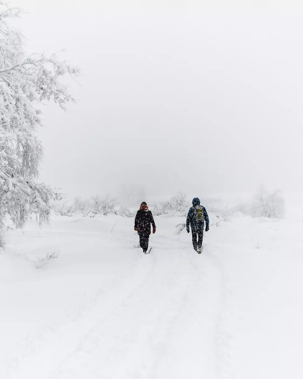 Photo by Jonathan Kemper on Unsplash
