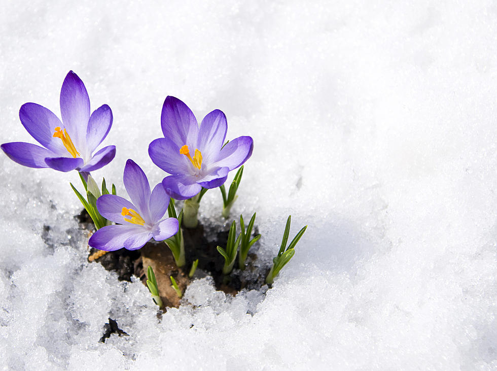 Unbelievable! Boise’s Wild Weather Sets Records for Heat and Snow in Four Days