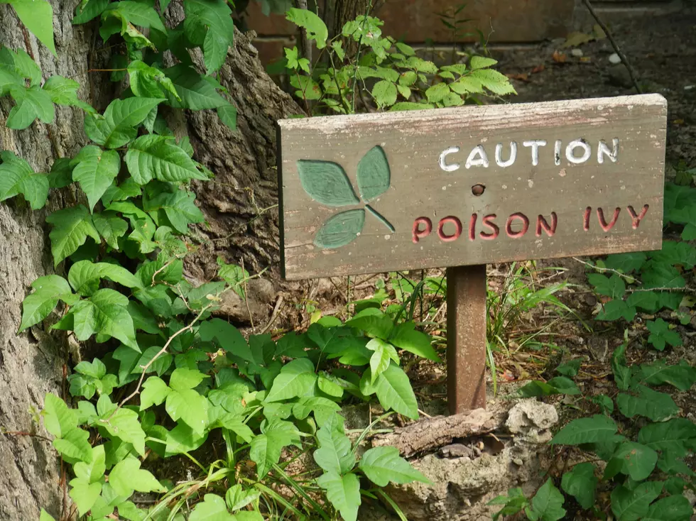 Sign with poison ivy plants around