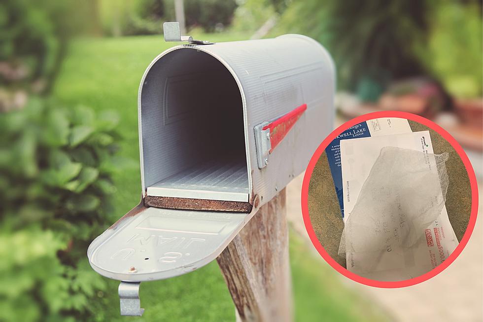 There’s A Reason Someone Left A Dryer Sheet In Your Boise Mailbox