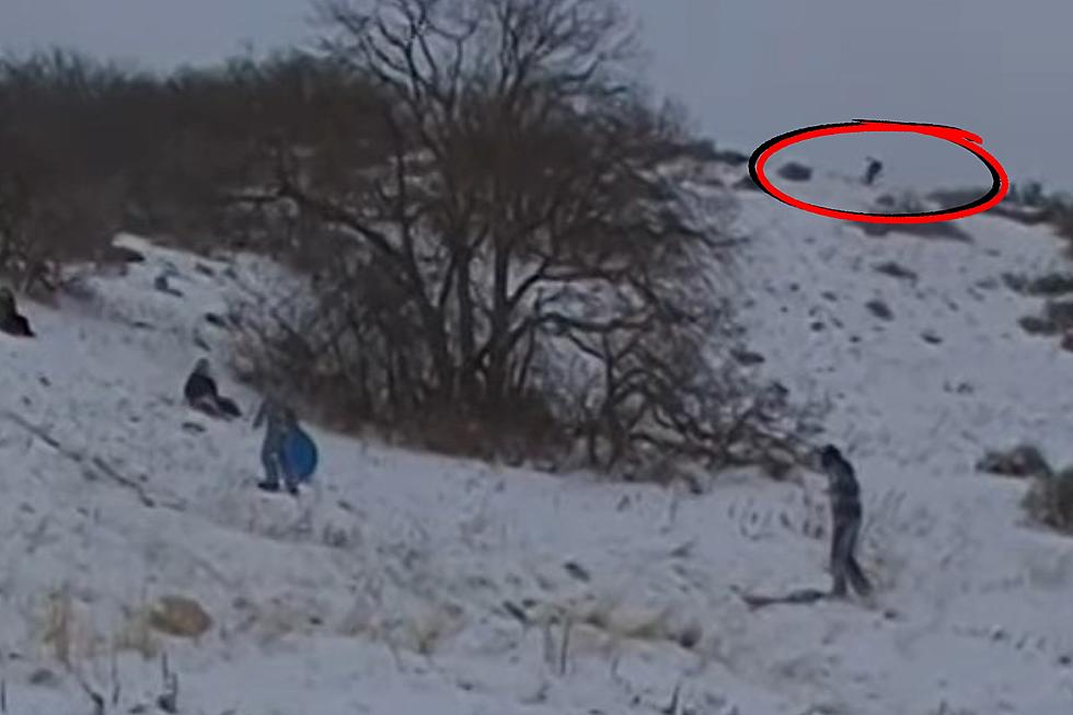 Utah Family Has No Idea How Close They Were To Bigfoot (VIDEO)