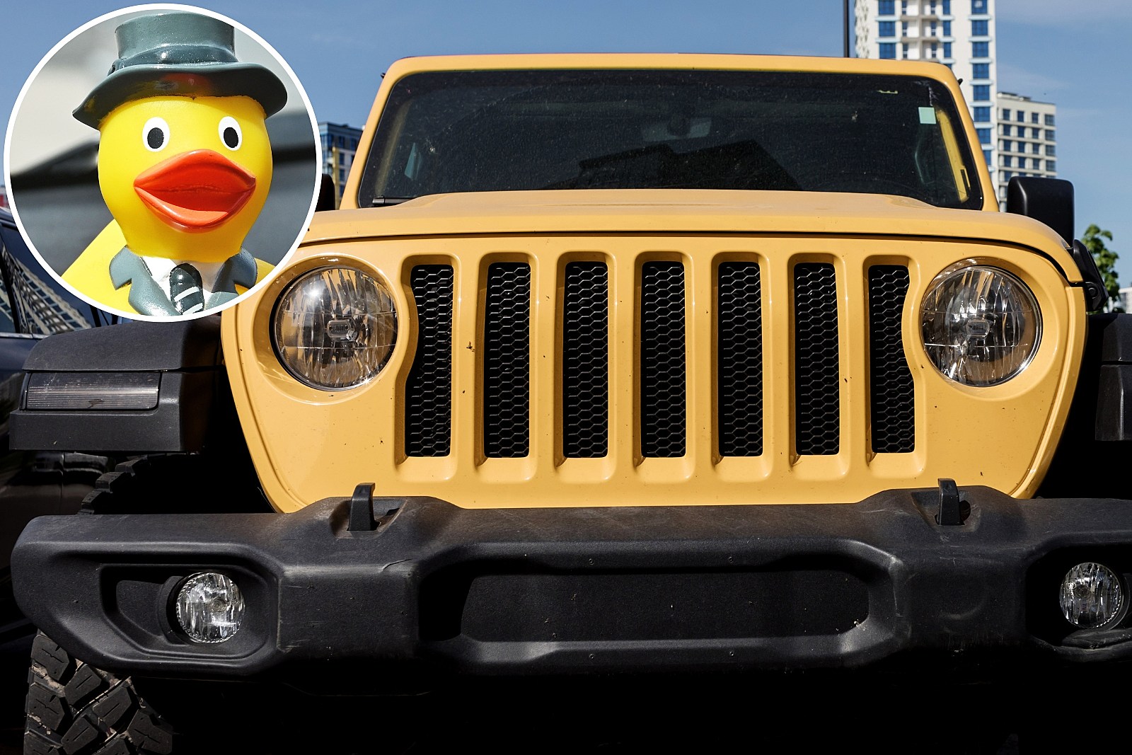 Ducking:' Local Jeep owners explain the connection between Jeeps and rubber  ducks 