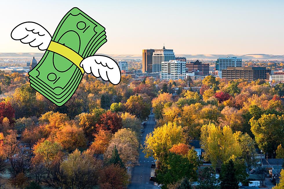 How to Avoid Paying a HUGE Fine for Your Leaves in Boise This Fall