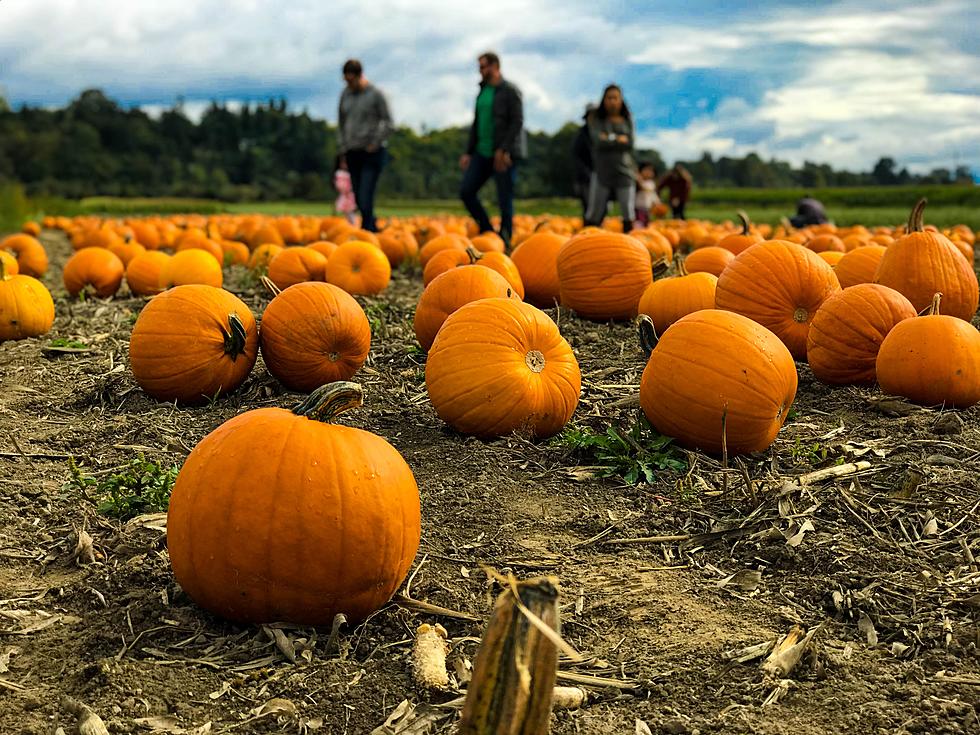Here’s When Boise’s Favorite Fall Attractions Will Open This Year
