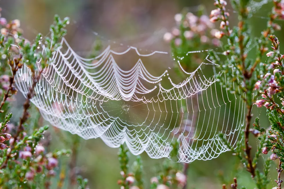 Photo by Torbjørn Helgesen on Unsplash
