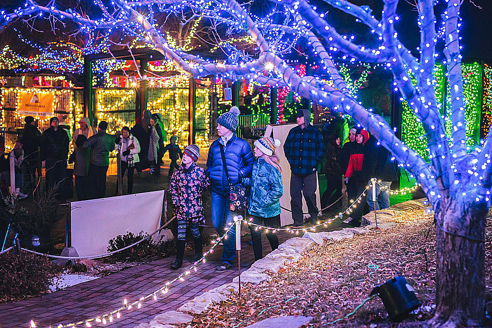 Everything You Need to Know About Boise’s Magnificent Winter Garden aGlow 2023