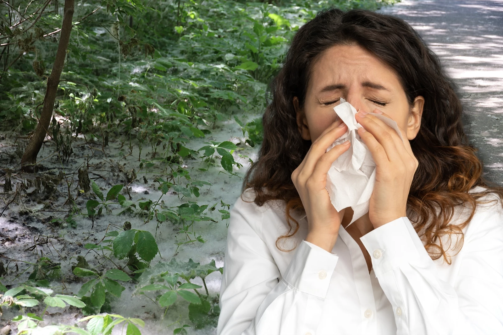 Meet the 9 Idaho Plants Making Allergy Season Miserable