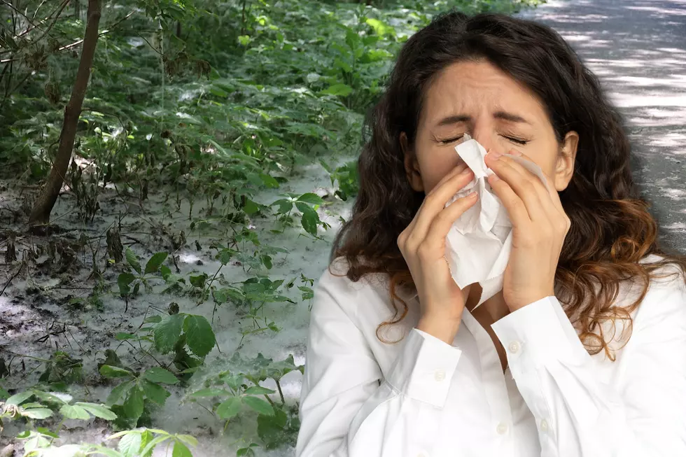 Meet the 9 Idaho Plants Making Allergy Season Absolutely Miserable