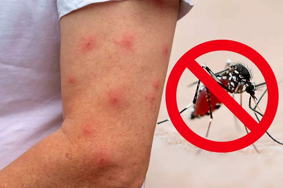 3 Common Body Washes May Turn Idahoans Into an Itchy Mosquito Feast