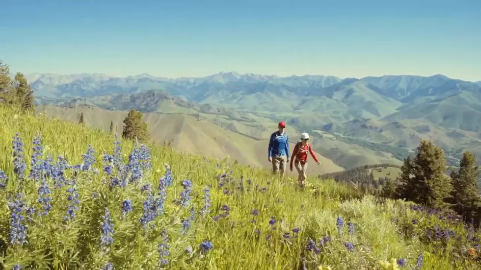 YouTube/SunValley