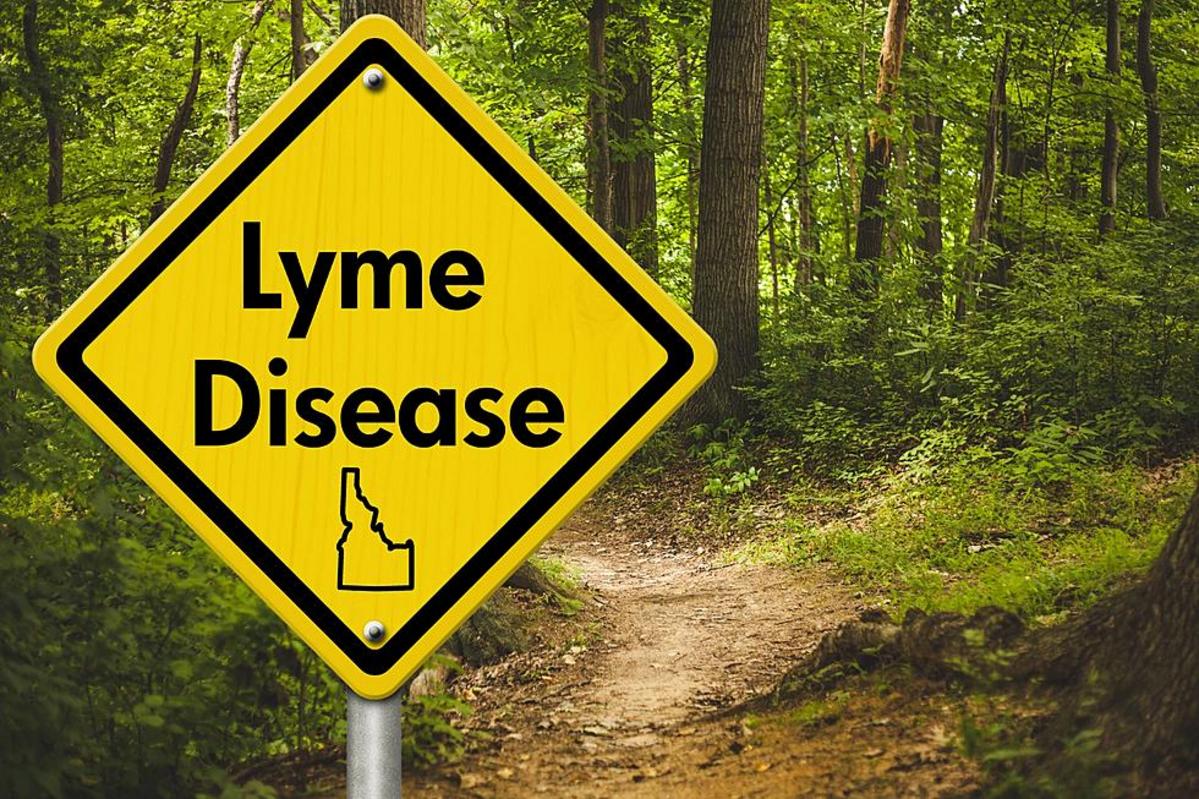 Counties in Idaho with the highest number of Lyme disease cases