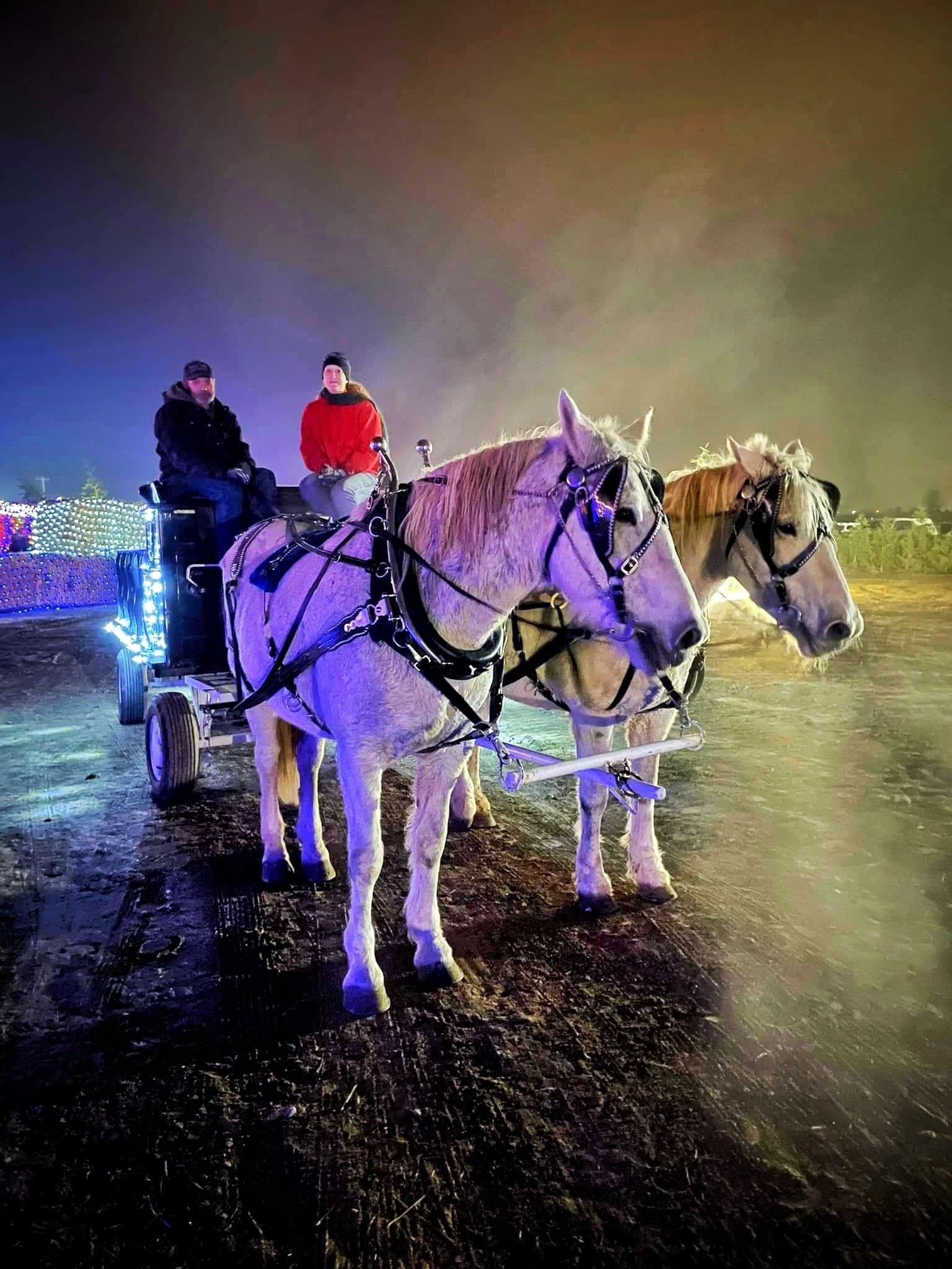 Nampa's Shindig Farms Brings Back Christmas Maze