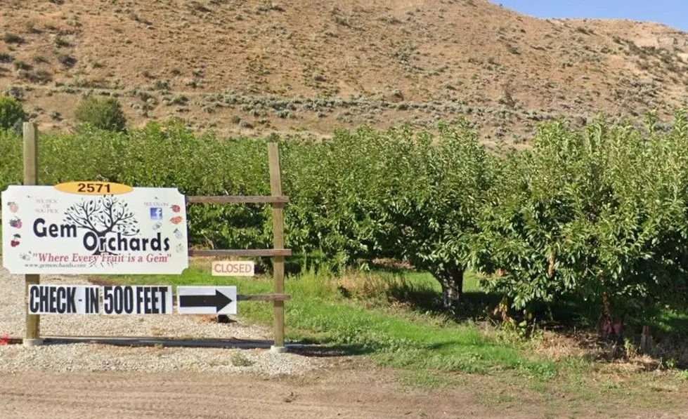 Google Street View