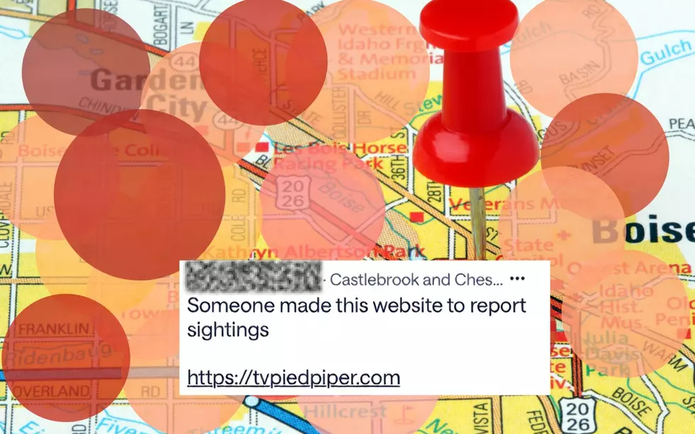 Canva.com, Nextdoor