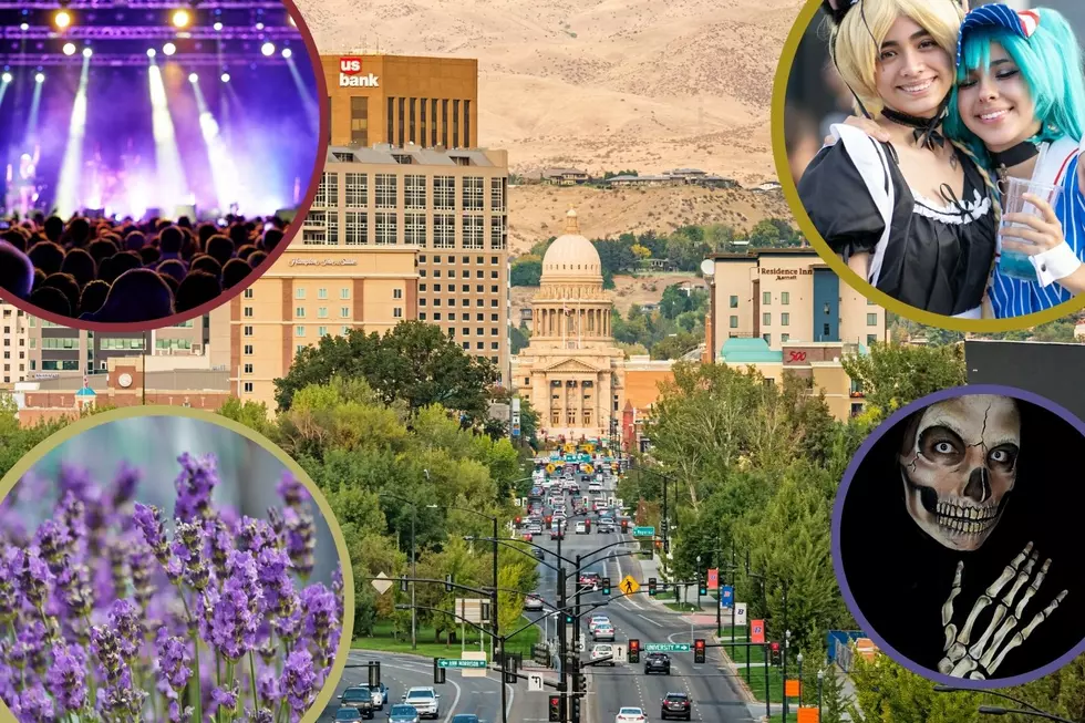What’s Happening Around the Treasure Valley This Weekend (July 10-12)