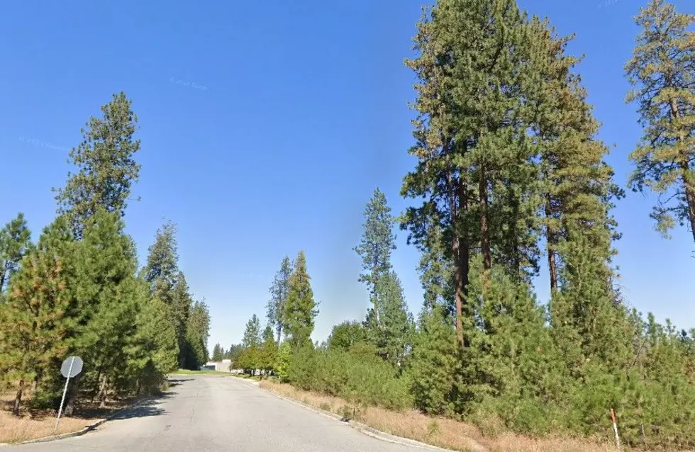 Google Street View