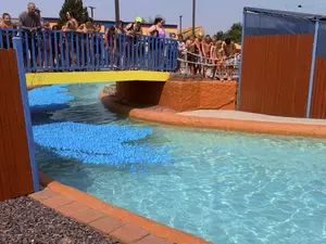 How The Great Dolphin Dunk Raised $1M For Ada County Kids