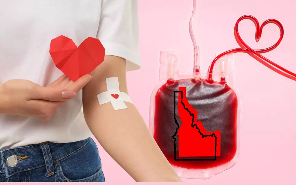Treasure Valley Blood Drives Need Donors This Summer