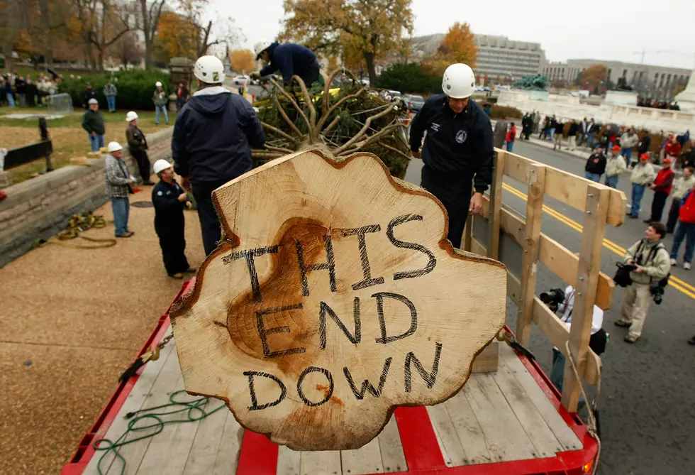 Win McNamee, Getty Images