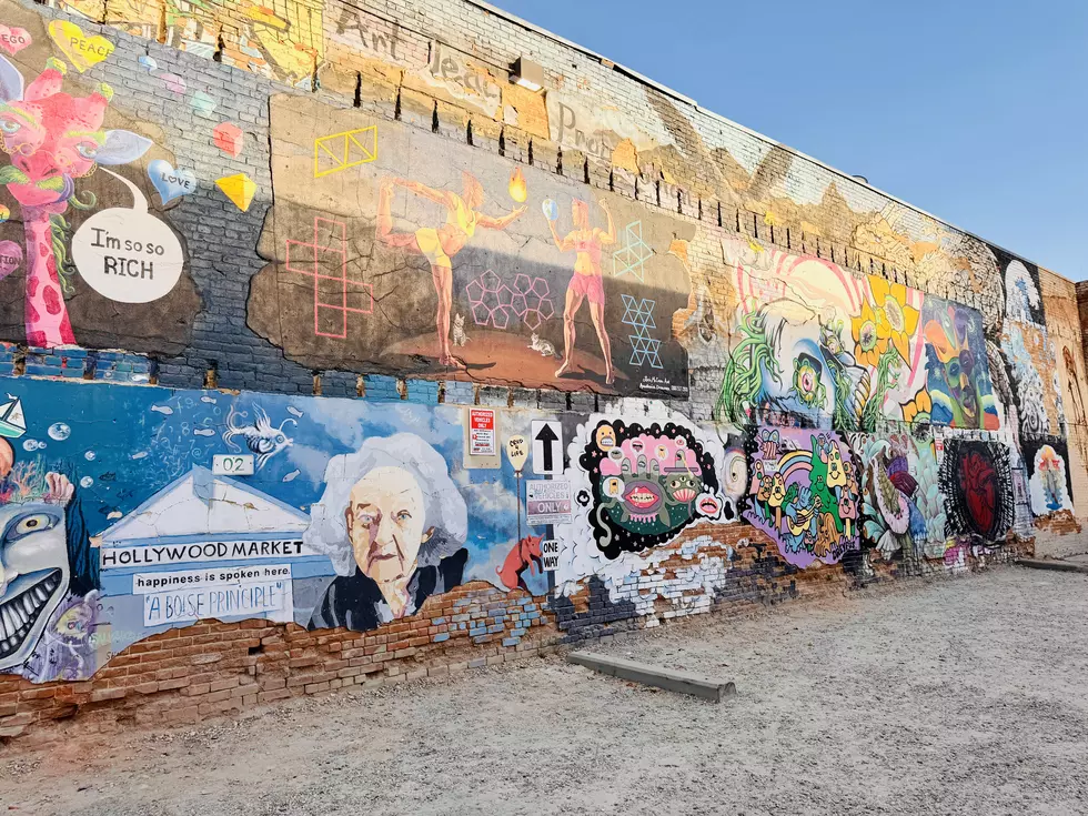 Ever Wonder Who Gets to Paint Boise’s Freak Alley And Who Decides What Goes?