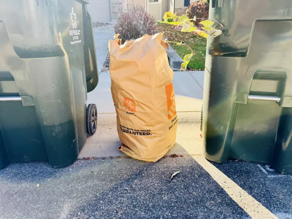 Boise Leaf Bag Pickup 2026: What You Can and Can’t Put in Them
