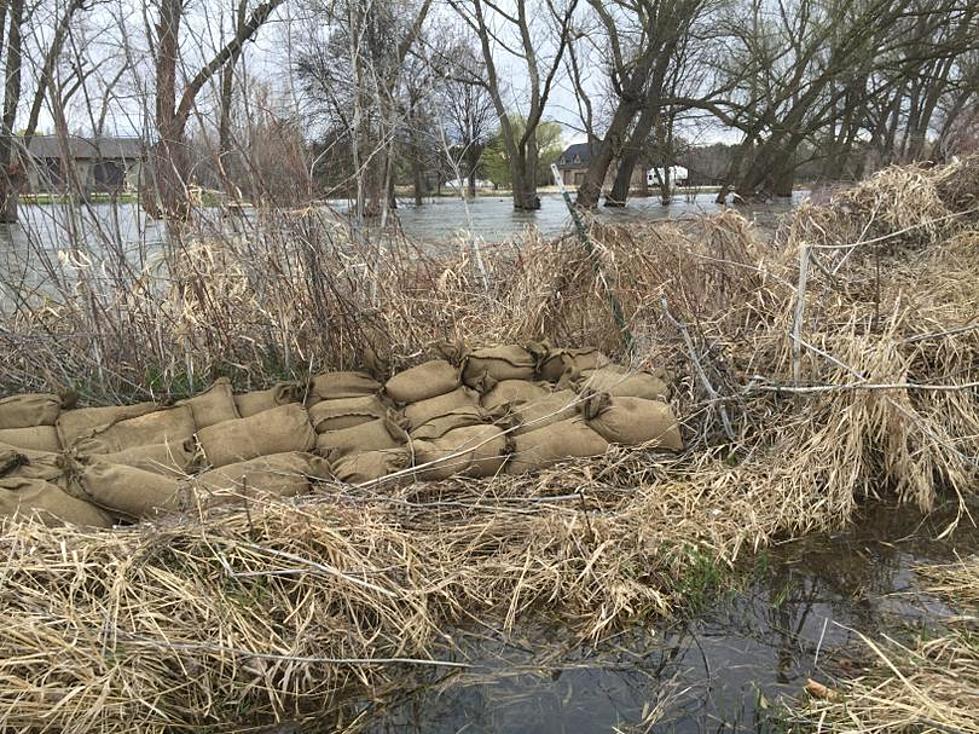 Endangered Idaho Sockeye Flee Flooding