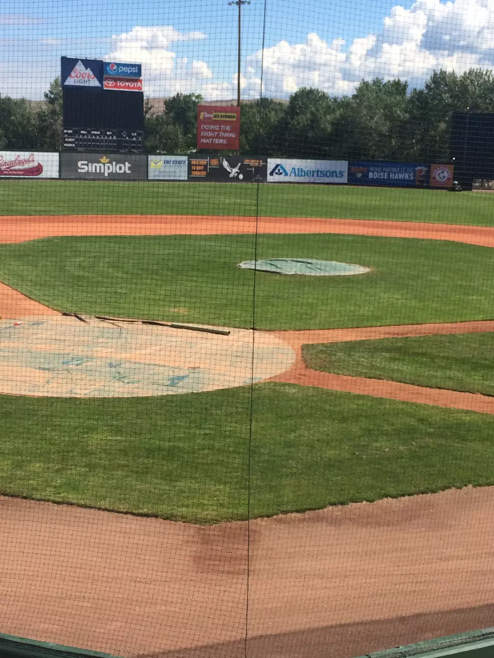 The Boise Hawks Have Arrived in The Nest!