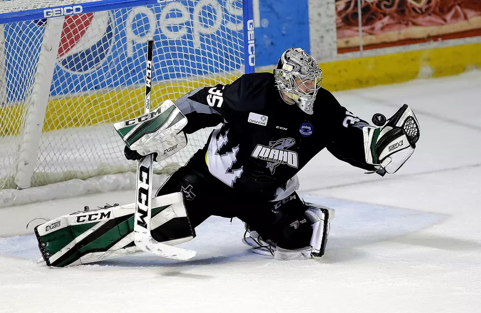 Steelheads to Battle Utah For First Place