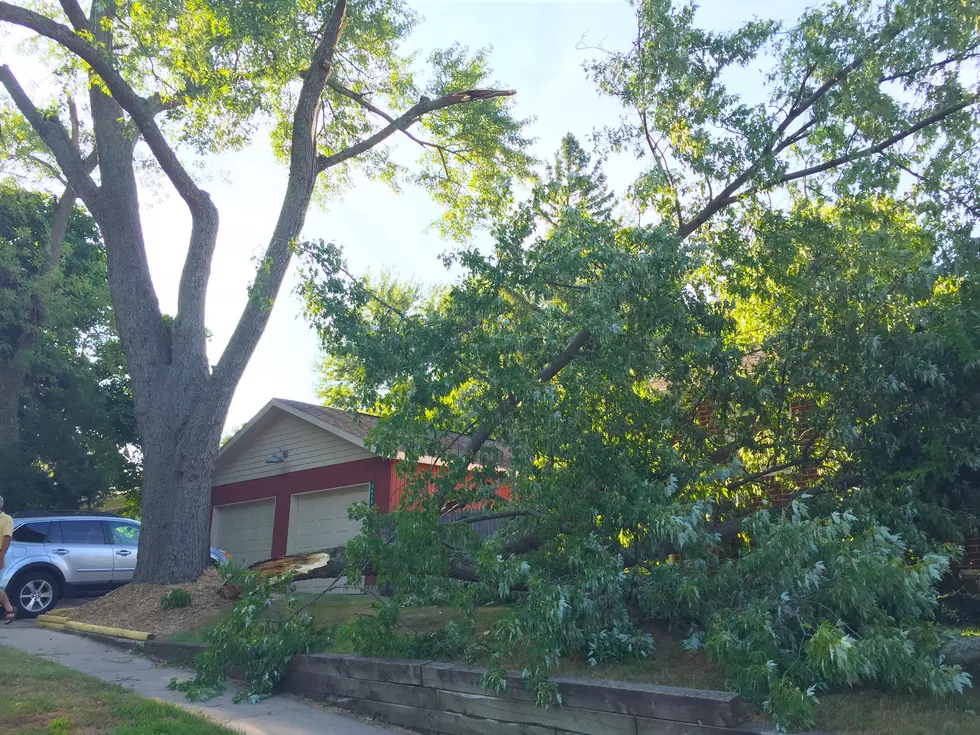 Sunday&#8217;s Storm: Kalamazoo Tree Branches Down, Power Outages