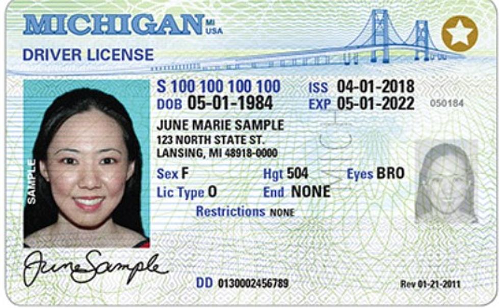 Michigan Snowbirds, Don&#8217;t Forget To Renew Licenses and Plates