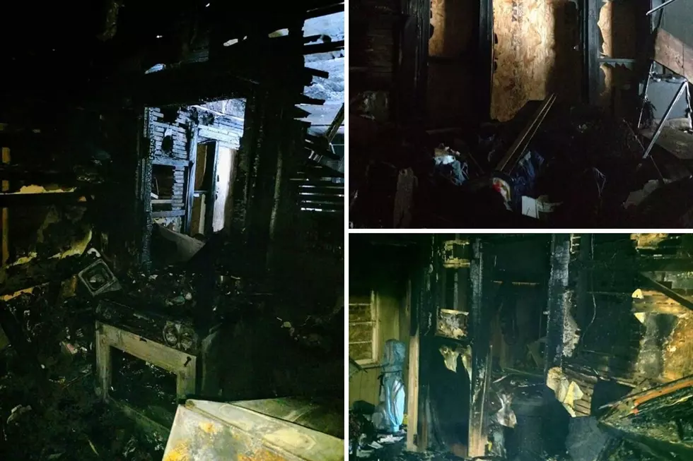 Efforts To Help Kalamazoo Family Who Lost Pets & Home In Fire