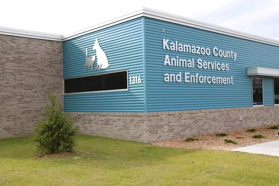 Food Donations Needed At Kalamazoo County Animal Services