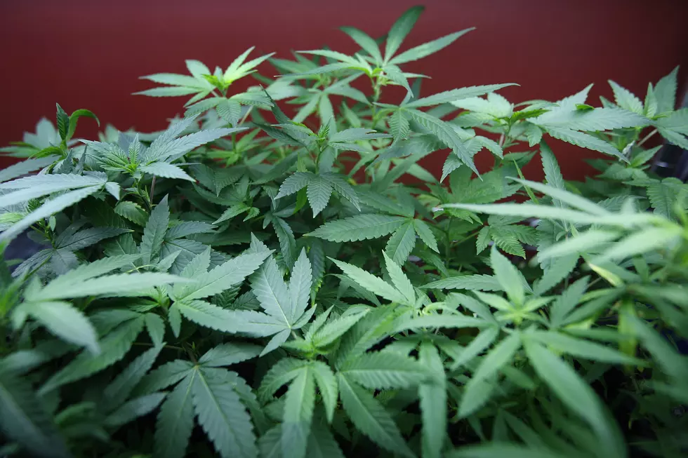 Medical Marijuana Expansion Proposed