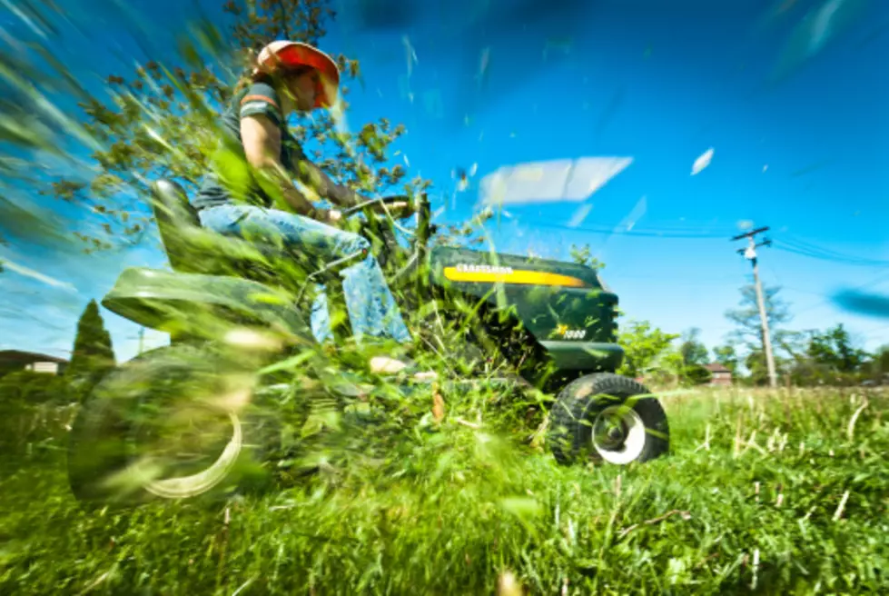 Lawn Mowing is Destroying the World