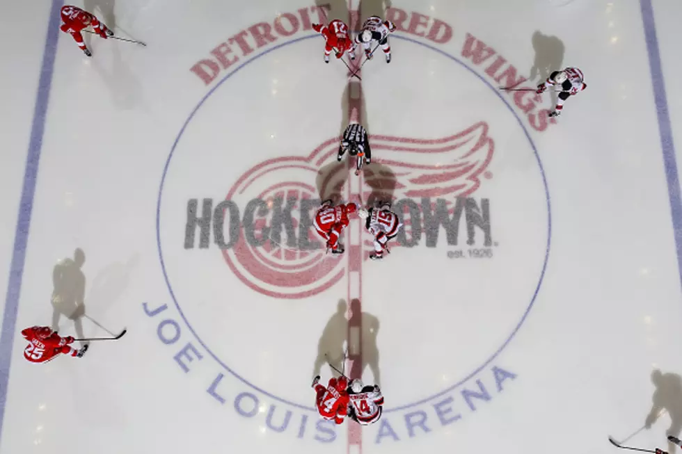 Red Wings A Hate Group?