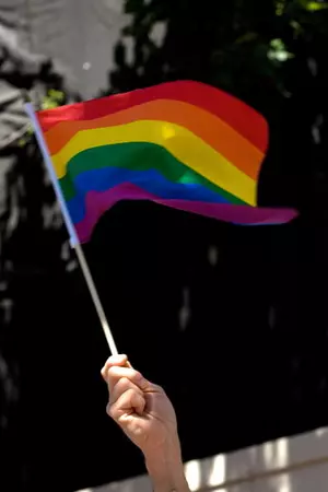 David Kallman, MI Civil Rts. Comm. is trying to resurrect the LGBT language in ELCRA again.