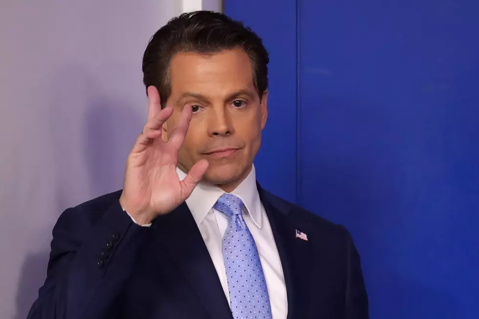 Anthony Scaramucci, Trump, The Blue-Collar President