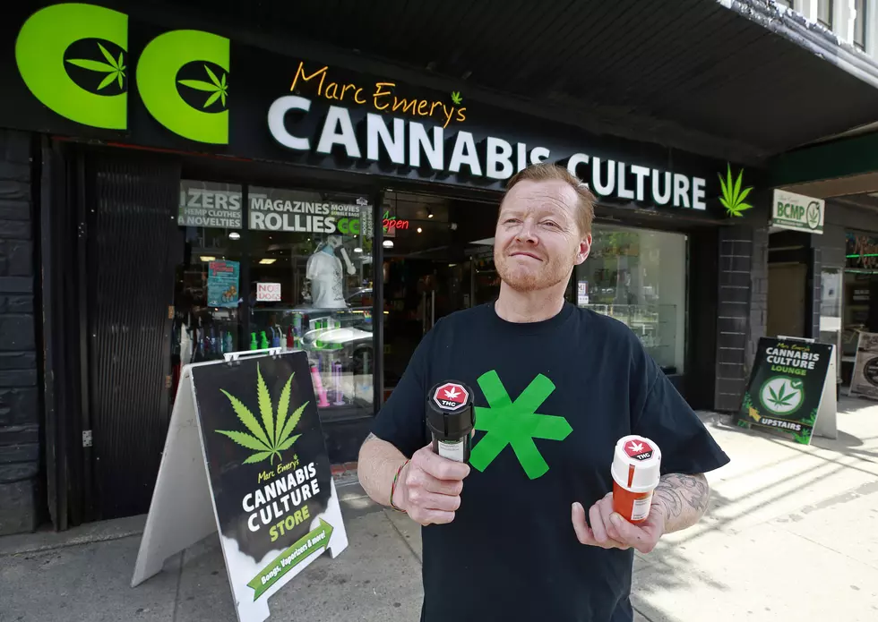 Steve Dulan, Marijuana Legalization