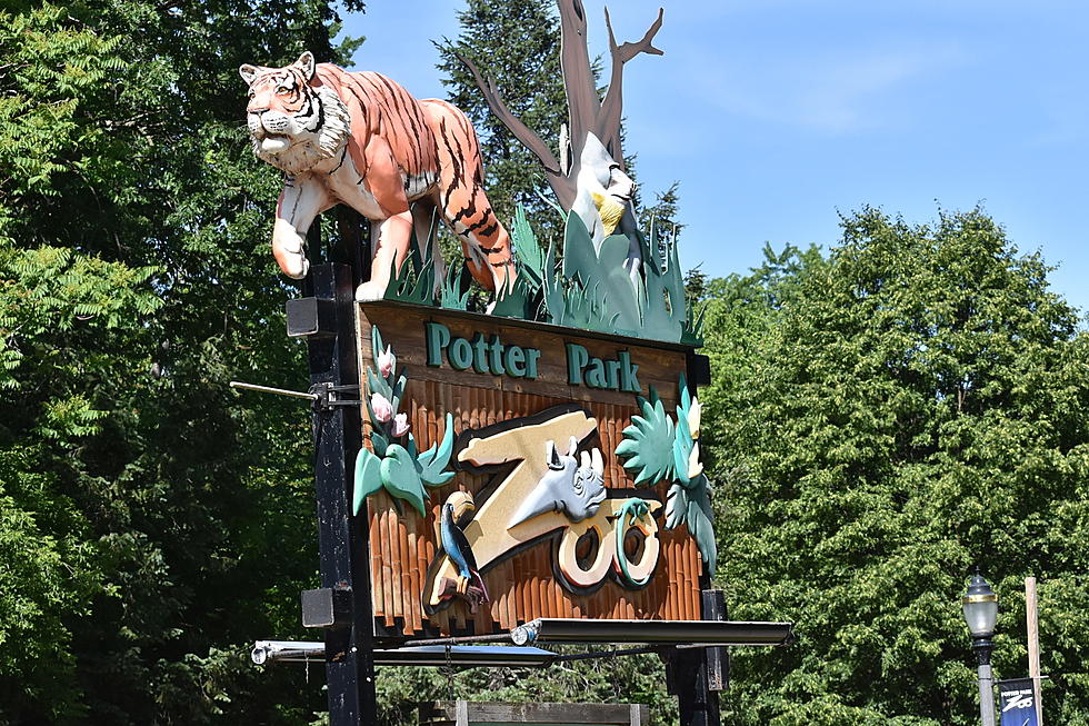 Free Admission To Potter Park Zoo If You Attend Their Free Vaccine Clinic
