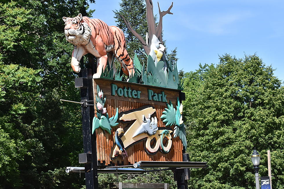 Potter Park Zoo and Hawk Island Are Open Labor Day, CATA Is A No Go