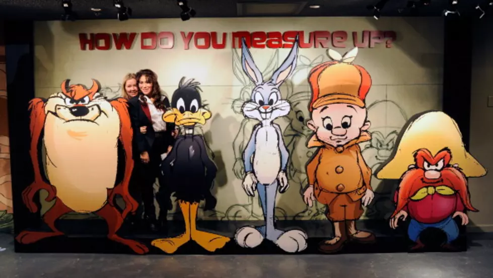 Elmer Fudd and Yosemite Sam have been stripped of their Second Amendment rights by a tribe of do-gooder clowns