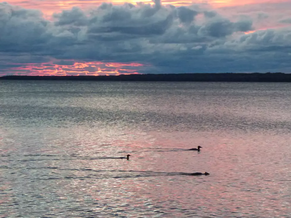 Ron Rademacher, Around Michigan